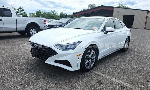 Buy Used Hyundai Santa Fe White Car in Ahalkalaki in Samche-Zhavaheti Buy Used Hyundai Santa Fe White Car in Ahalkalaki in Samche-Zhavaheti