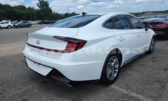 Buy Used Hyundai Santa Fe White Car in Ahalkalaki in Samche-Zhavaheti Buy Used Hyundai Santa Fe White Car in Ahalkalaki in Samche-Zhavaheti