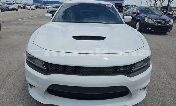 Buy Used Dodge Charger White Car in Bagdadi in Imereti Buy Used Dodge Charger White Car in Bagdadi in Imereti