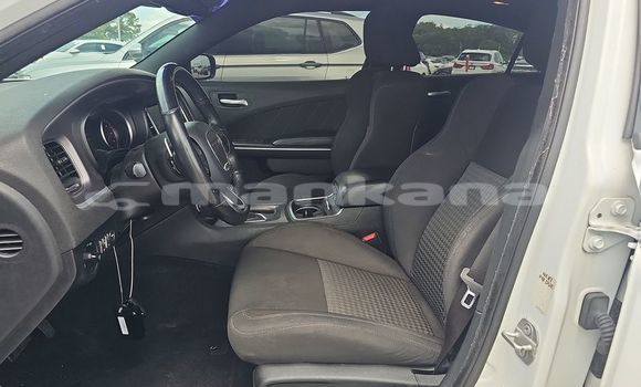 Buy Used Dodge Charger White Car in Bagdadi in Imereti Buy Used Dodge Charger White Car in Bagdadi in Imereti