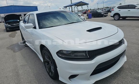 Buy Used Dodge Charger White Car in Bagdadi in Imereti Buy Used Dodge Charger White Car in Bagdadi in Imereti