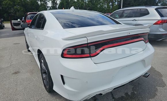 Buy Used Dodge Charger White Car in Bagdadi in Imereti Buy Used Dodge Charger White Car in Bagdadi in Imereti