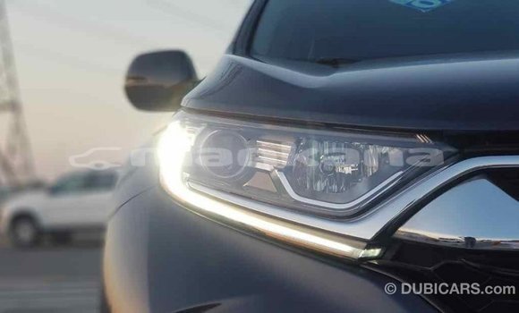 Buy Import Honda C Other Bike in Import - Dubai in Abhasia Buy Import Honda C Other Bike in Import - Dubai in Abhasia