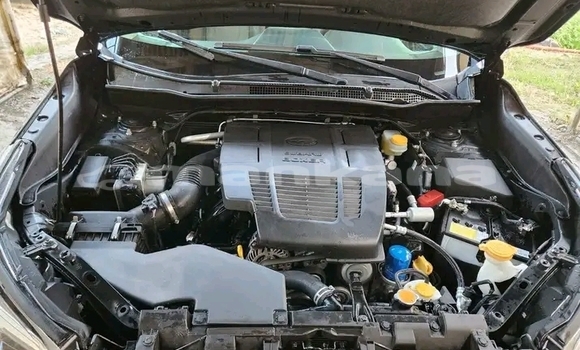 Buy Used Subaru Forester Black Car in Ahali Atoni in Abhasia Buy Used Subaru Forester Black Car in Ahali Atoni in Abhasia