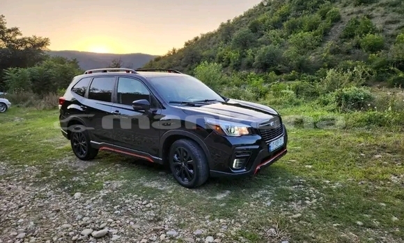 Buy Used Subaru Forester Black Car in Ahali Atoni in Abhasia Buy Used Subaru Forester Black Car in Ahali Atoni in Abhasia