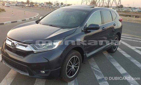 Buy Import Honda C Other Bike in Import - Dubai in Abhasia Buy Import Honda C Other Bike in Import - Dubai in Abhasia