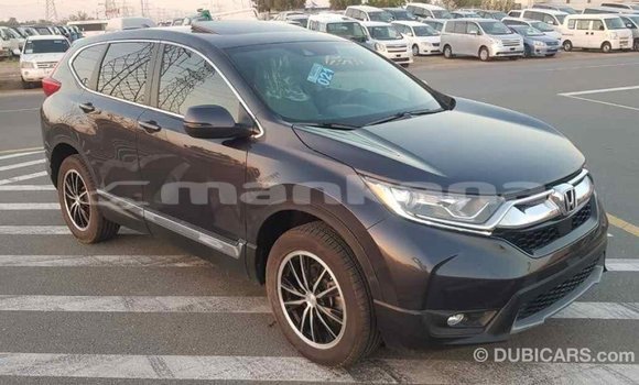 Buy Import Honda C Other Bike in Import - Dubai in Abhasia Buy Import Honda C Other Bike in Import - Dubai in Abhasia