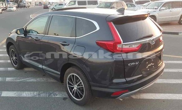 Buy Import Honda C Other Bike in Import - Dubai in Abhasia Buy Import Honda C Other Bike in Import - Dubai in Abhasia