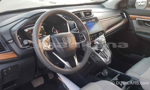 Buy Import Honda C Other Bike in Import - Dubai in Abhasia Buy Import Honda C Other Bike in Import - Dubai in Abhasia