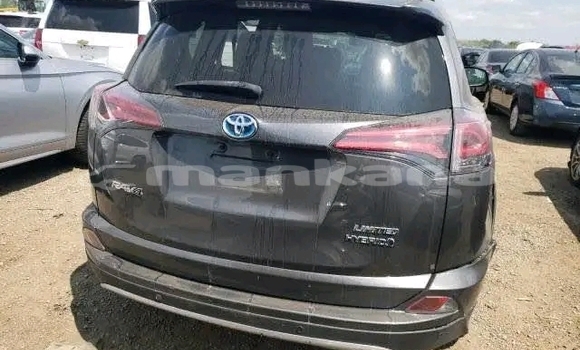 Buy Used Toyota RAV4 Black Car in Gali in Abhasia Buy Used Toyota RAV4 Black Car in Gali in Abhasia