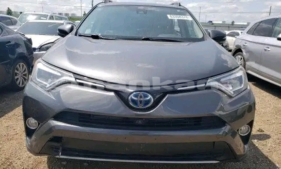 Buy Used Toyota RAV4 Black Car in Gali in Abhasia Buy Used Toyota RAV4 Black Car in Gali in Abhasia