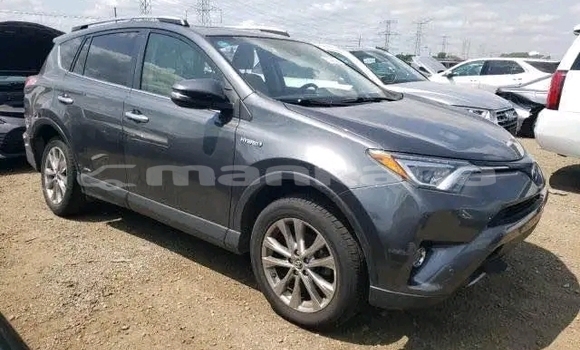 Buy Used Toyota RAV4 Black Car in Gali in Abhasia Buy Used Toyota RAV4 Black Car in Gali in Abhasia