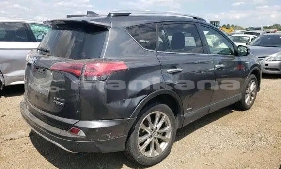 Buy Used Toyota RAV4 Black Car in Gali in Abhasia Buy Used Toyota RAV4 Black Car in Gali in Abhasia