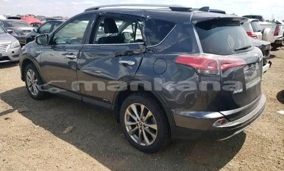 Buy Used Toyota RAV4 Black Car in Gali in Abhasia Buy Used Toyota RAV4 Black Car in Gali in Abhasia