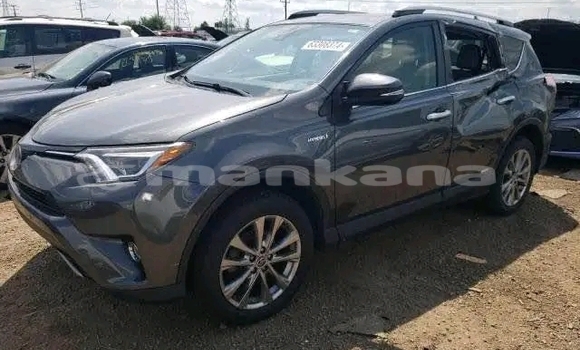 Buy Used Toyota RAV4 Black Car in Gali in Abhasia Buy Used Toyota RAV4 Black Car in Gali in Abhasia