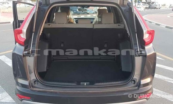 Buy Import Honda C Other Bike in Import - Dubai in Abhasia Buy Import Honda C Other Bike in Import - Dubai in Abhasia