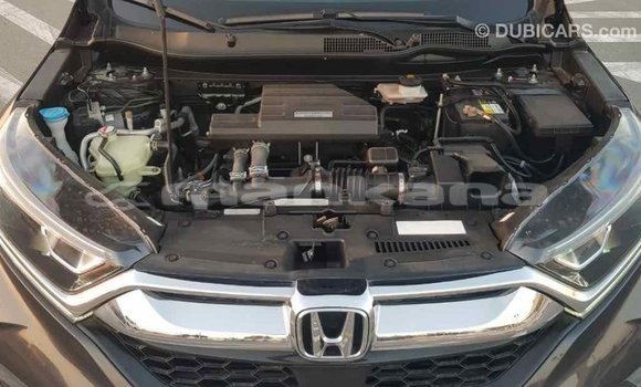 Buy Import Honda C Other Bike in Import - Dubai in Abhasia