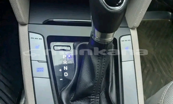 Buy Used Hyundai Elantra Black Car in Dioknisi in Ajaria Buy Used Hyundai Elantra Black Car in Dioknisi in Ajaria