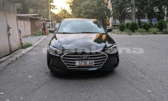 Buy Used Hyundai Elantra Black Car in Dioknisi in Ajaria Buy Used Hyundai Elantra Black Car in Dioknisi in Ajaria