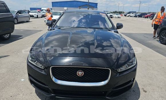 Buy Used Jaguar XF Black Car in Tbilisi in Tbilisi