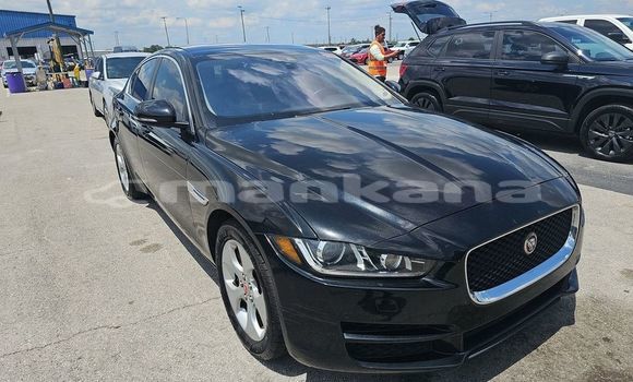 Buy Used Jaguar XF Black Car in Tbilisi in Tbilisi Buy Used Jaguar XF Black Car in Tbilisi in Tbilisi
