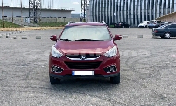 Buy Used Hyundai XG Red Car in Bihvinta in Abhasia Buy Used Hyundai XG Red Car in Bihvinta in Abhasia