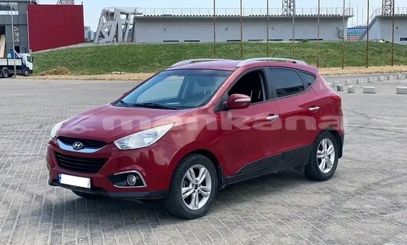 Buy Used Hyundai XG Red Car in Bihvinta in Abhasia Buy Used Hyundai XG Red Car in Bihvinta in Abhasia