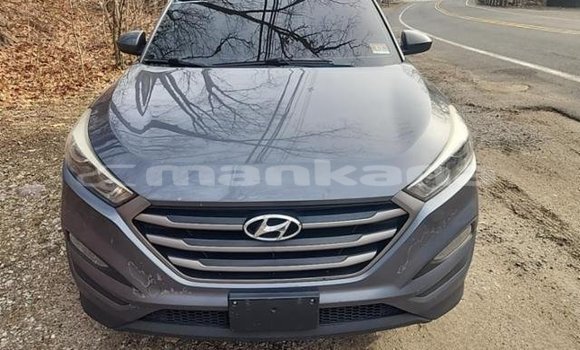 Buy Used Hyundai Tucson Other Car in Tbilisi in Tbilisi Buy Used Hyundai Tucson Other Car in Tbilisi in Tbilisi