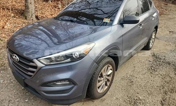 Buy Used Hyundai Tucson Other Car in Tbilisi in Tbilisi Buy Used Hyundai Tucson Other Car in Tbilisi in Tbilisi