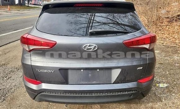 Buy Used Hyundai Tucson Other Car in Tbilisi in Tbilisi Buy Used Hyundai Tucson Other Car in Tbilisi in Tbilisi