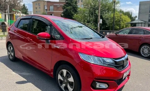 Buy Used Honda FIT Red Car in Gudauta in Abhasia Buy Used Honda FIT Red Car in Gudauta in Abhasia