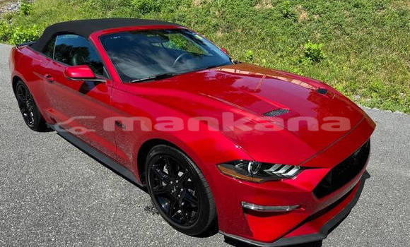 Buy Used Ford Mustang Other Car in Tbilisi in Tbilisi