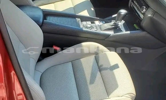 Buy Used Mazda 6 Red Car in Bihvinta in Abhasia Buy Used Mazda 6 Red Car in Bihvinta in Abhasia