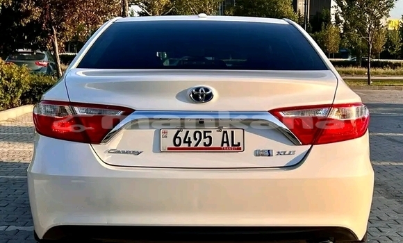 Buy Used Toyota Camry White Car in Bihvinta in Abhasia Buy Used Toyota Camry White Car in Bihvinta in Abhasia