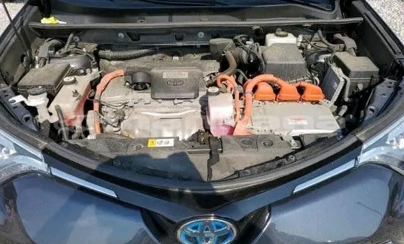 Buy Used Toyota RAV4 Black Car in Bihvinta in Abhasia Buy Used Toyota RAV4 Black Car in Bihvinta in Abhasia