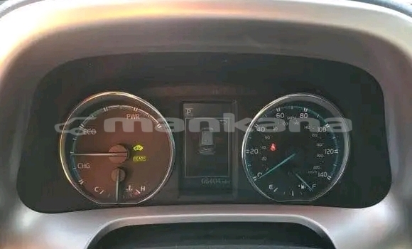 Buy Used Toyota RAV4 Black Car in Bihvinta in Abhasia Buy Used Toyota RAV4 Black Car in Bihvinta in Abhasia