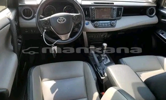 Buy Used Toyota RAV4 Black Car in Bihvinta in Abhasia Buy Used Toyota RAV4 Black Car in Bihvinta in Abhasia