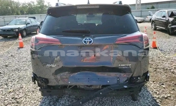 Buy Used Toyota RAV4 Black Car in Bihvinta in Abhasia Buy Used Toyota RAV4 Black Car in Bihvinta in Abhasia
