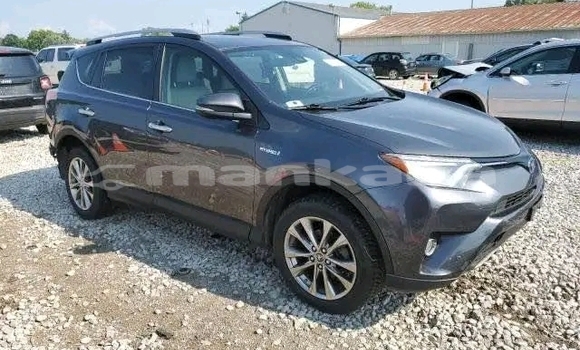 Buy Used Toyota RAV4 Black Car in Bihvinta in Abhasia Buy Used Toyota RAV4 Black Car in Bihvinta in Abhasia