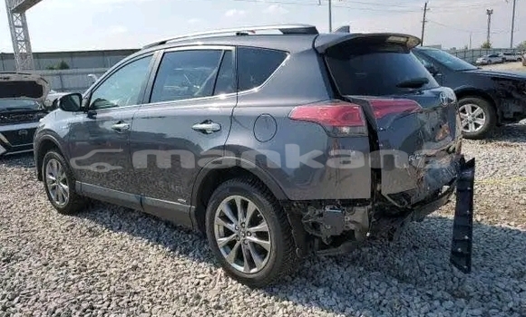 Buy Used Toyota RAV4 Black Car in Bihvinta in Abhasia Buy Used Toyota RAV4 Black Car in Bihvinta in Abhasia
