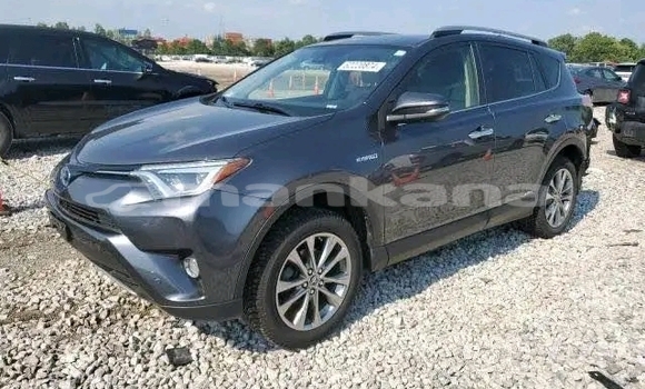 Buy Used Toyota RAV4 Black Car in Bihvinta in Abhasia Buy Used Toyota RAV4 Black Car in Bihvinta in Abhasia