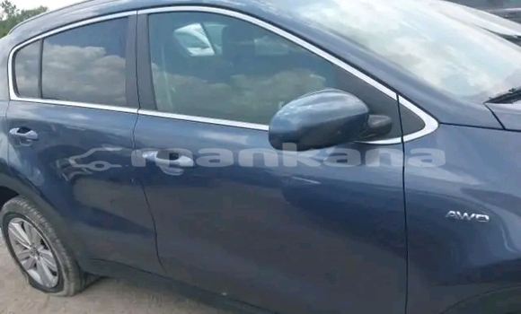 Buy Used Kia Sportage Other Car in Bihvinta in Abhasia Buy Used Kia Sportage Other Car in Bihvinta in Abhasia
