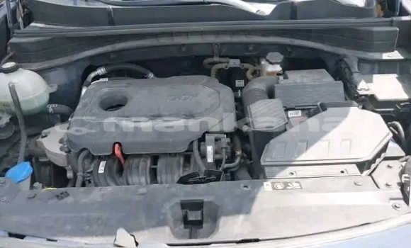 Buy Used Kia Sportage Other Car in Bihvinta in Abhasia Buy Used Kia Sportage Other Car in Bihvinta in Abhasia