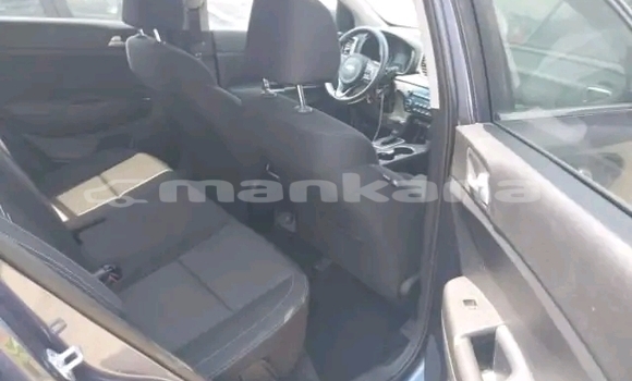 Buy Used Kia Sportage Other Car in Bihvinta in Abhasia Buy Used Kia Sportage Other Car in Bihvinta in Abhasia