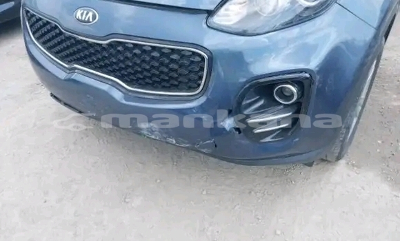 Buy Used Kia Sportage Other Car in Bihvinta in Abhasia Buy Used Kia Sportage Other Car in Bihvinta in Abhasia