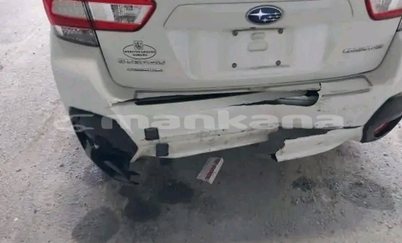 Buy Used Subaru Forester White Car in Bihvinta in Abhasia Buy Used Subaru Forester White Car in Bihvinta in Abhasia