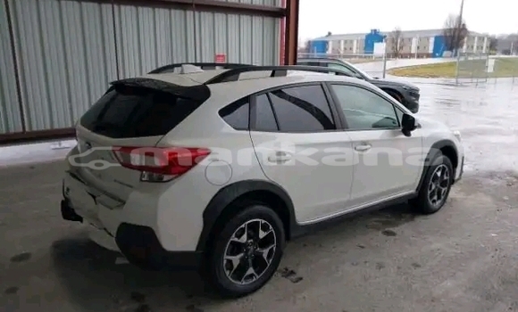 Buy Used Subaru Forester White Car in Bihvinta in Abhasia Buy Used Subaru Forester White Car in Bihvinta in Abhasia