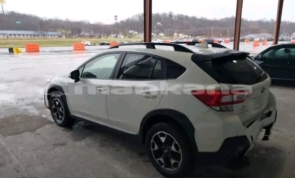 Buy Used Subaru Forester White Car in Bihvinta in Abhasia Buy Used Subaru Forester White Car in Bihvinta in Abhasia