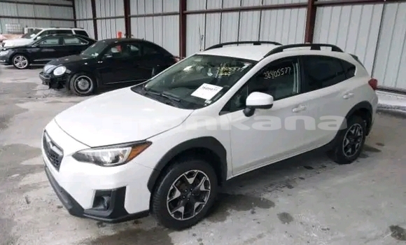 Buy Used Subaru Forester White Car in Bihvinta in Abhasia Buy Used Subaru Forester White Car in Bihvinta in Abhasia