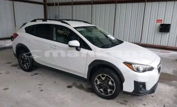 Buy Used Subaru Forester White Car in Bihvinta in Abhasia Buy Used Subaru Forester White Car in Bihvinta in Abhasia